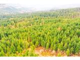  Anthony Creek Rd - Photo 32