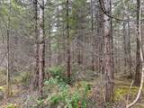  Anthony Creek Rd - Photo 40