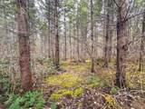  Anthony Creek Rd - Photo 41