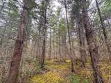  Anthony Creek Rd - Photo 42