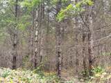  Anthony Creek Rd - Photo 44