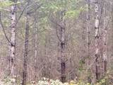  Anthony Creek Rd - Photo 45