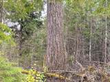  Anthony Creek Rd - Photo 46