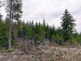 Anthony Creek Rd - Photo 48