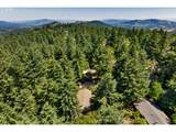 3574 Spring Blvd - Photo 44