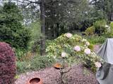1484 Seacrest Ln - Photo 11