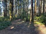 000 Cape Ferrelo Rd - Photo 2