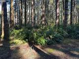 000 Cape Ferrelo Rd - Photo 3