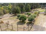 88623 Whitsell Ln - Photo 40