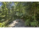 1048 Eloise Ln - Photo 46