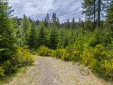 0 Shotgun Creek Rd - Photo 6