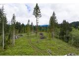  N Fork Road - Photo 1