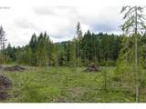  N Fork Road - Photo 14