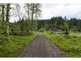  N Fork Road - Photo 2