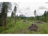  N Fork Road - Photo 6