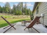 30307 Sunset Falls Rd - Photo 41