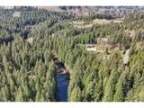 30307 Sunset Falls Rd - Photo 43