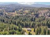30307 Sunset Falls Rd - Photo 47