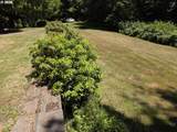 95835 Martin Ranch Rd - Photo 41