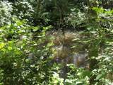 95835 Martin Ranch Rd - Photo 42