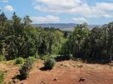 0 Eola Dr - Photo 14