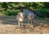 92693 Tt Larson Rd - Photo 45