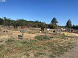 28393 Royal Ave - Photo 10