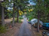 55533 Mckenzie River Dr - Photo 19
