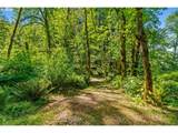 81482 Lost Creek Rd - Photo 12
