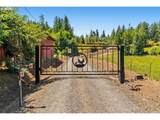 81482 Lost Creek Rd - Photo 3