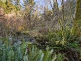 0 Lake Rd - Photo 12