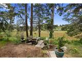 33254 Columbia Beach Ln - Photo 32