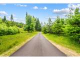  Camas Swale Rd - Photo 11