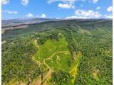  Camas Swale Rd - Photo 4