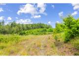  Camas Swale Rd - Photo 7