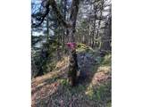 4390 West Ridge Dr - Photo 11