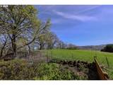 383 Little Valley Rd - Photo 35