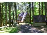 18020 Neugebauer Rd - Photo 42
