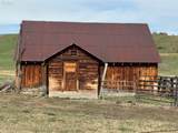 38901 Highway 86 - Photo 12