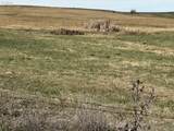 38901 Highway 86 - Photo 9