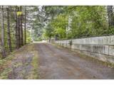 32320 Ammeter Rd - Photo 41