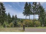 32320 Ammeter Rd - Photo 43