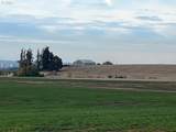39986 Gisler Rd - Photo 2