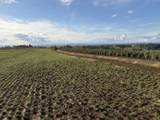 39986 Gisler Rd - Photo 6