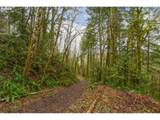 113 Garden Ln - Photo 24