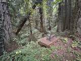 102 164TH St - Photo 31