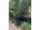 74170 Imnaha Highway - Photo 13
