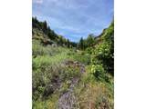 74170 Imnaha Highway - Photo 5