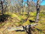  Off Centerville Hwy - Photo 23