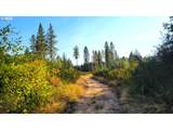  Hunter Rd - Photo 10